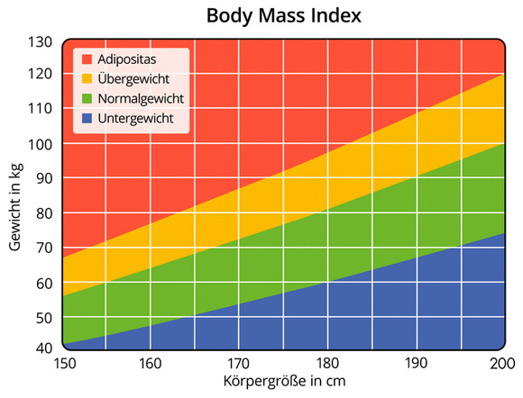 BMI - Der Body Mass Index