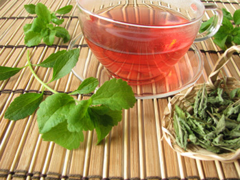 Stevia als Blätter zum Tee